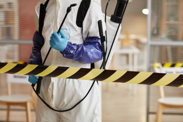 Professional Sewage Cleanup technician working in Falfurrias, TX